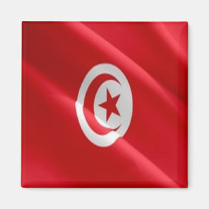 Imã TN - Tunísia - Onda de Bandeira