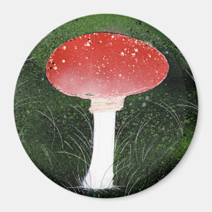 Imã Toadstool Cogumelo em Moscou
