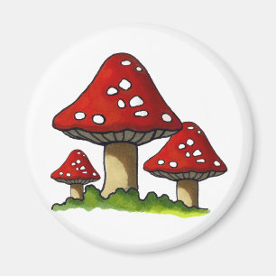 Imã Toadtstools vermelho, cogumelo: Arte Freehand