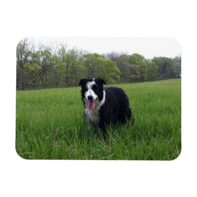 Ímã Toby (Horizontal)