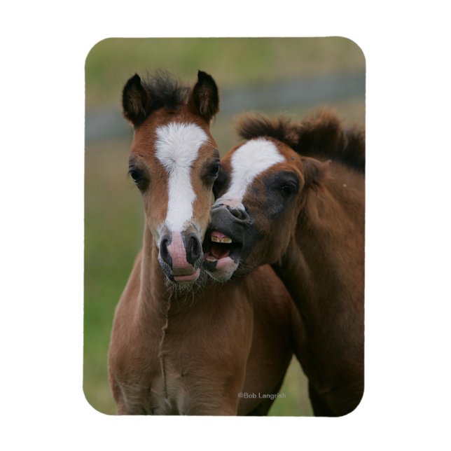 Ímã Tocar Pés (Vertical)