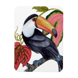 Ímã Toco Toucan