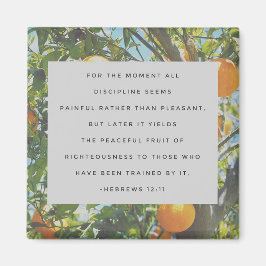 Imã Todo o Magnet Disciplinar