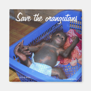 Imã Todos Os Bebês Precisam De Amor