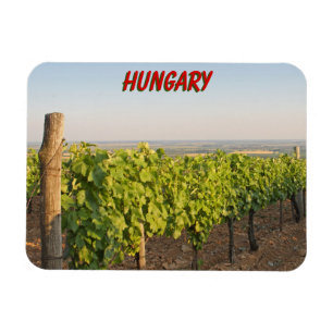 Ímã Tokaj vineyards, Hungria