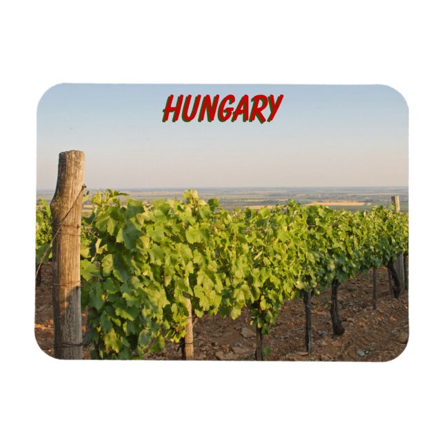 Ímã Tokaj vineyards, Hungria (Horizontal)