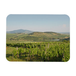 Ímã Tokaj vineyards, Hungria