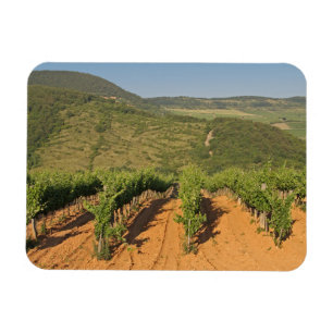Ímã Tokaj vineyards, Hungria