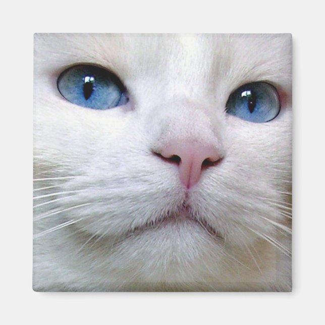 Imã Tom Magnet (Frente)