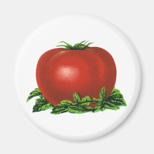 Imã Tomate, vegetais e frutas maduros vermelhos do