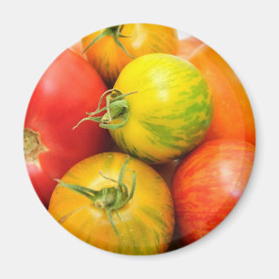 Imã Tomates coloridos da herança