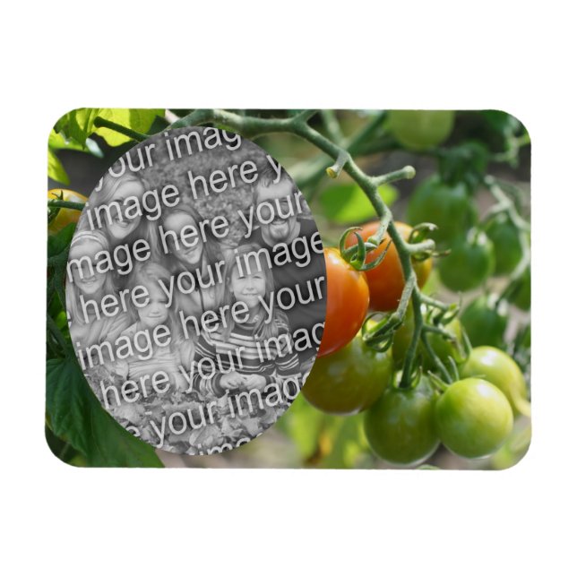Ímã Tomates de cereja de jardim adicione sua foto (Horizontal)