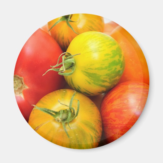Imã Tomates de herança coloridos (Frente)