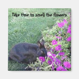Imã Tome o tempo cheirar as flores