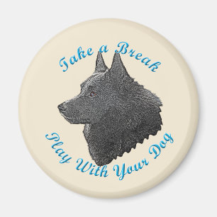 Imã Tome uma ruptura (o Schipperke)