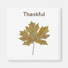 Imã Toneladas de folhas, castanhas e douradas