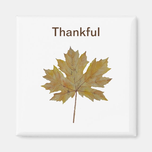 Imã Toneladas de folhas, castanhas e douradas (Frente)