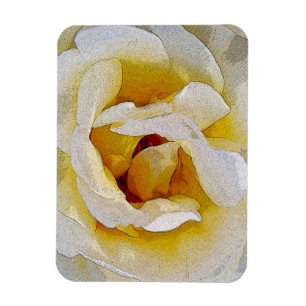 Ímã tons de branco a amarelo