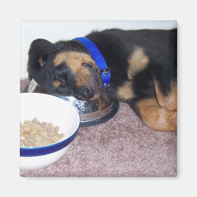 Imã tonto. (Frente)