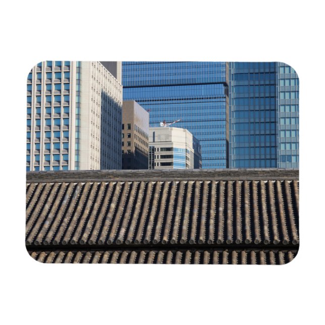 Ímã Tóquio, Japão (Horizontal)
