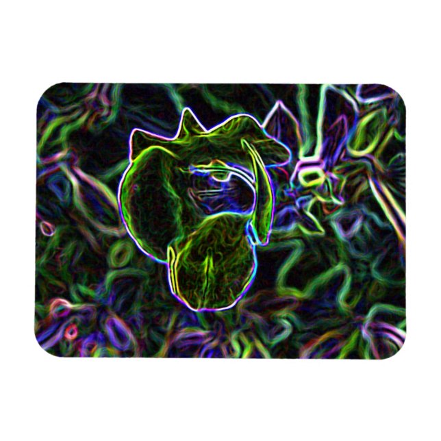 Ímã Torenia Edited (Horizontal)