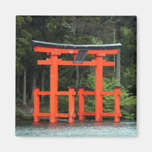 Imã torii hakone