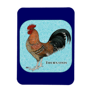 Ímã Tornaisis Rooster