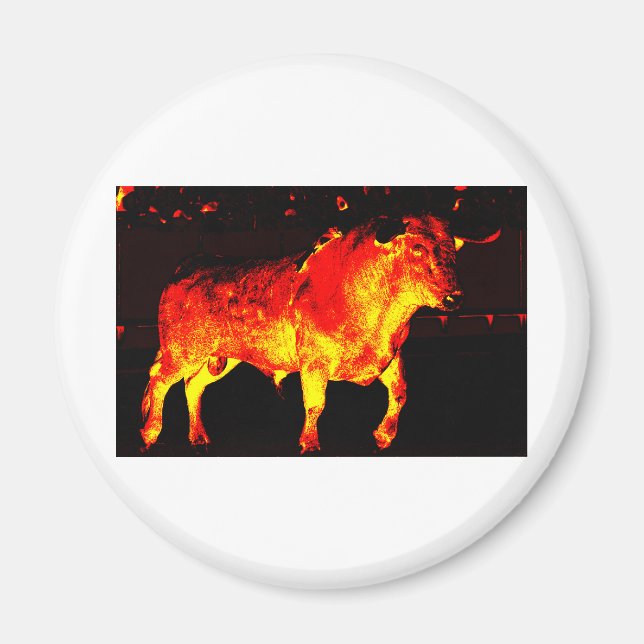 IMÃ TORO BRAVO (Frente)