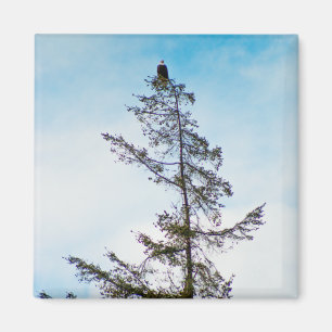 Imã Torre de monitoração