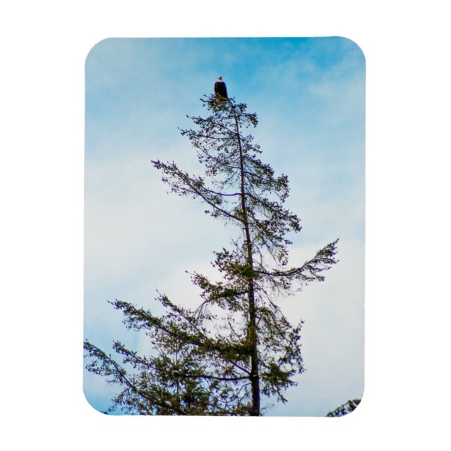 Ímã Torre de monitoração (Vertical)