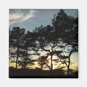 Imã Torrey Pine Sunset II, área da Califórnia