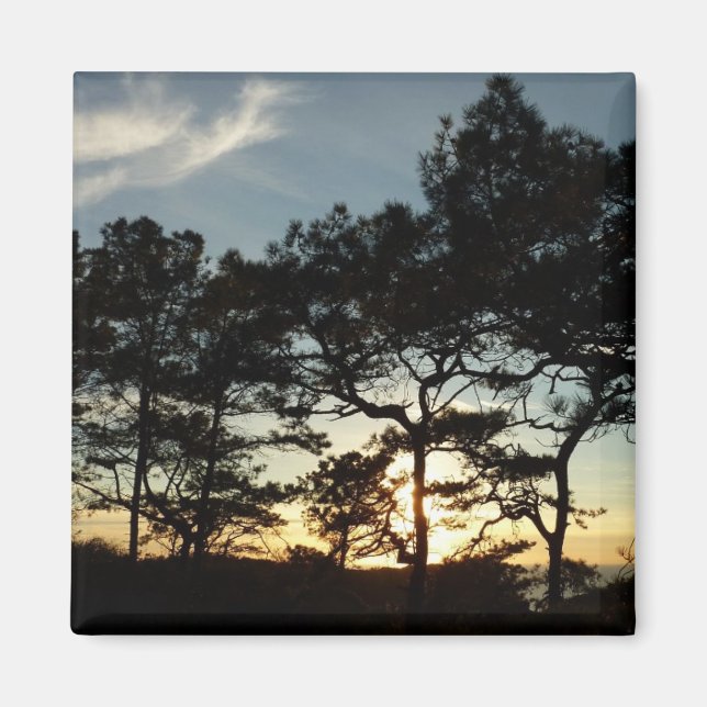 Imã Torrey Pine Sunset II, área da Califórnia (Frente)