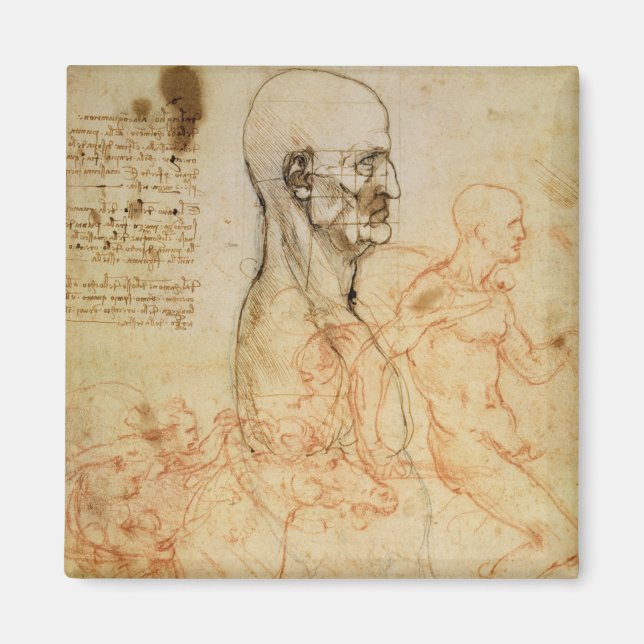 Imã Torso de um Homem em Perfil, a Cabeça Esquadrado p (Frente)