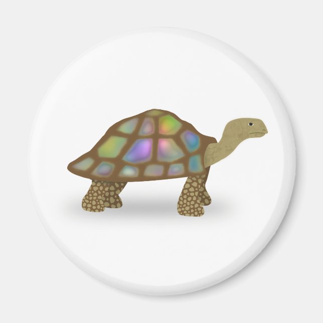 Imã Tortoise (Frente)