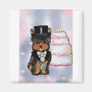 Imã Tosa Yorkie poo
