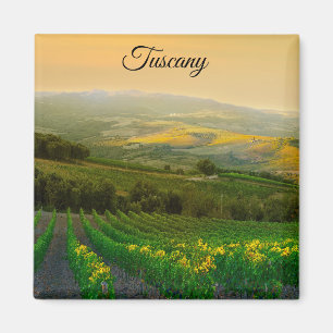 Imã Toscânia Itália - Foto do Vineyard italiano