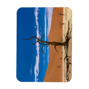 Ímã Toter Baum em Deadvlei