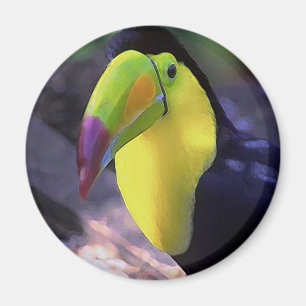 Imã Toucan 1 ímã