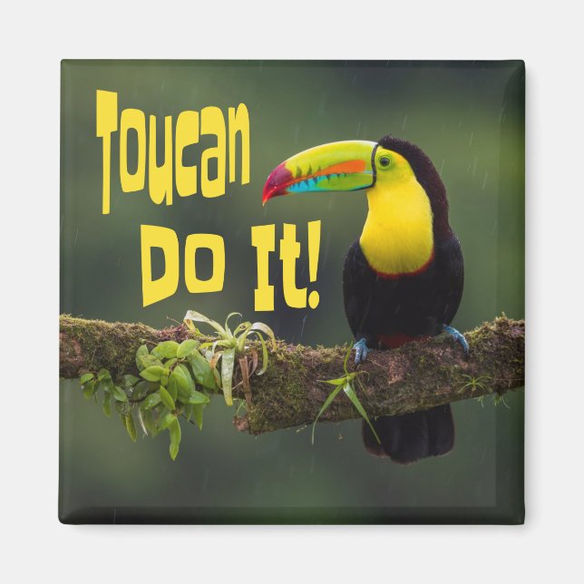 Imã Toucan Faz Isso! Pássaro Colorido Funny (Frente)