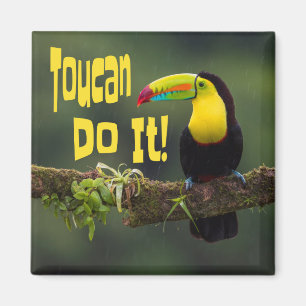 Imã Toucan Faz Isso! Pássaro Colorido Funny Pun