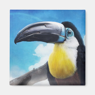 Imã Toucano na pintura digital de pássaros Mistura Ai