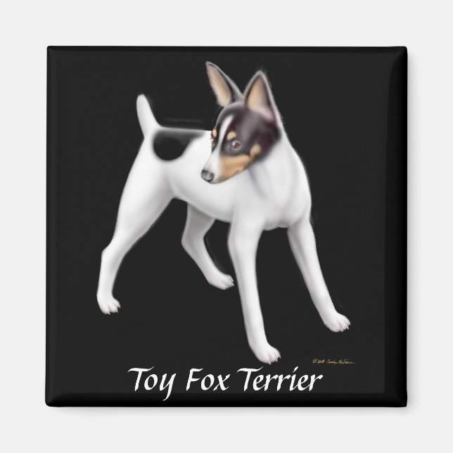 Imã Toy Fox Terrier Magnet (Frente)