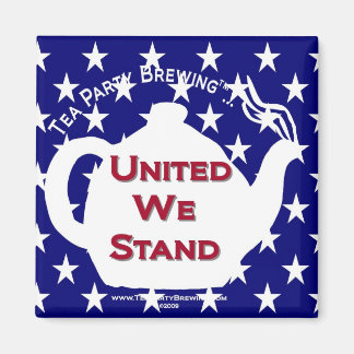 Imã TP0107 United We Stand Magnet