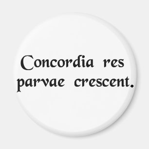 Imã Trabalhe junto para realizar mais