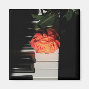 Imã Trabalho de arte de Piano Incrível