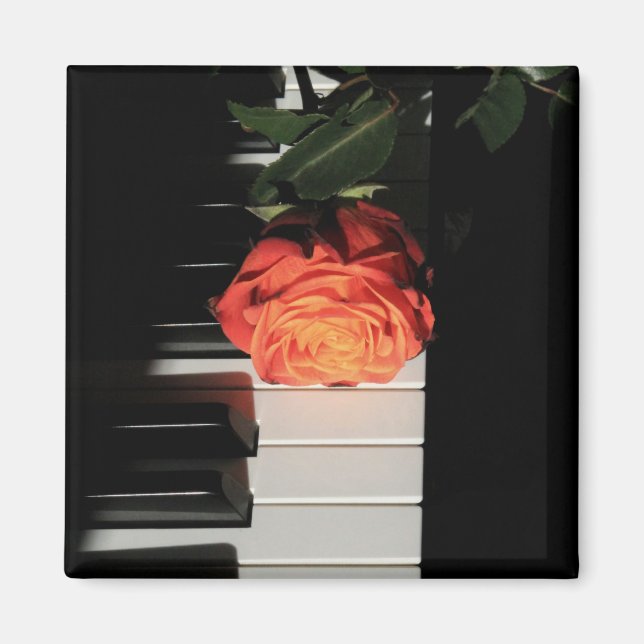 Imã Trabalho de arte de Piano Incrível (Frente)