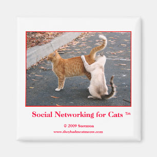 Imã Trabalhos em rede sociais para o ímã dos gatos