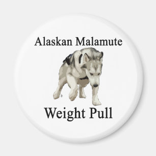 Imã Tração do peso do Malamute do Alasca