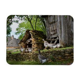 Ímã tradicional do retângulo da fazenda do gans