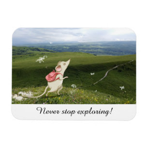 Ímã Traje de um Rato de Cartoon